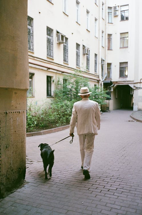 A man with a tan suit is walking his black dog on a brick pathway near apartments.