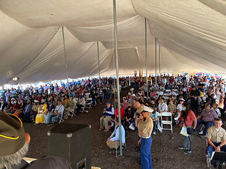 Attendees under the big tent, 2022