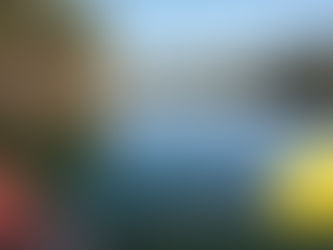 Escape the Summer Heat: Why Show Low, AZ is the Ideal Mountain Getaway