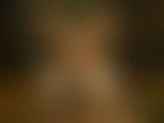 Chien-loup tchécoslovaque vu de face, pelage gris argenté et regard ambré, photographié en forêt.