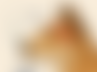 Illustration d'un chien montrant la position du bulbe olfactif et du système nasal, représentant la puissance de l'odorat canin