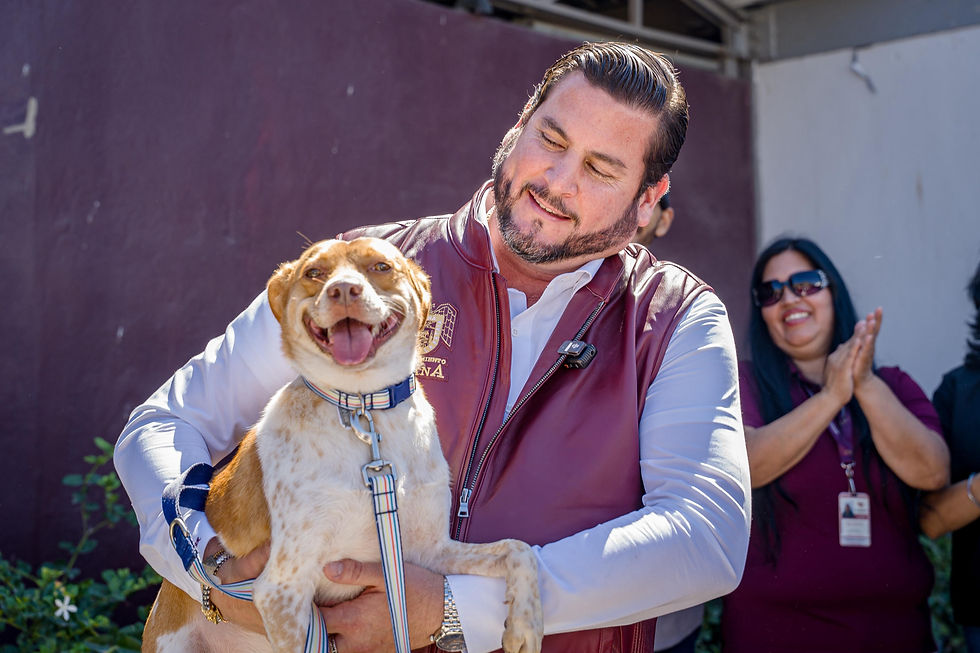 SEGUNDO INFORME DE GOBIERNO Impulsa gobierno de Ismael Burgueño Ruiz acciones para el bienestar y protección de los animales