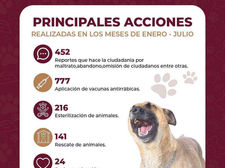 IMBAT fortalece el bienestar animal en Tecate con más de 1,700 acciones durante 2026