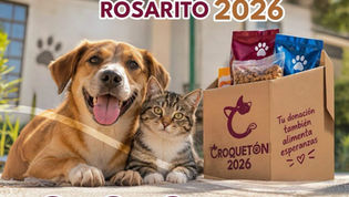 Invita Gobierno Municipal a refugios y rescatistas al Croquetón Rosarito 2026