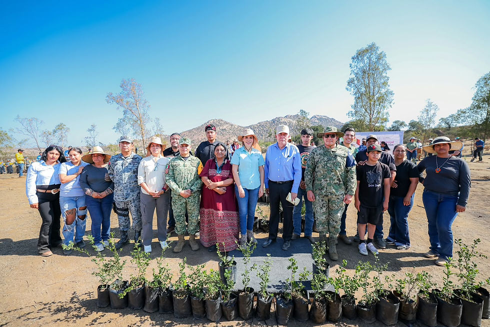 Tecate se suma a la Jornada Nacional de Reforestación 2026