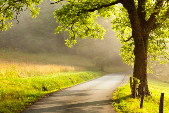 chemin de campagne