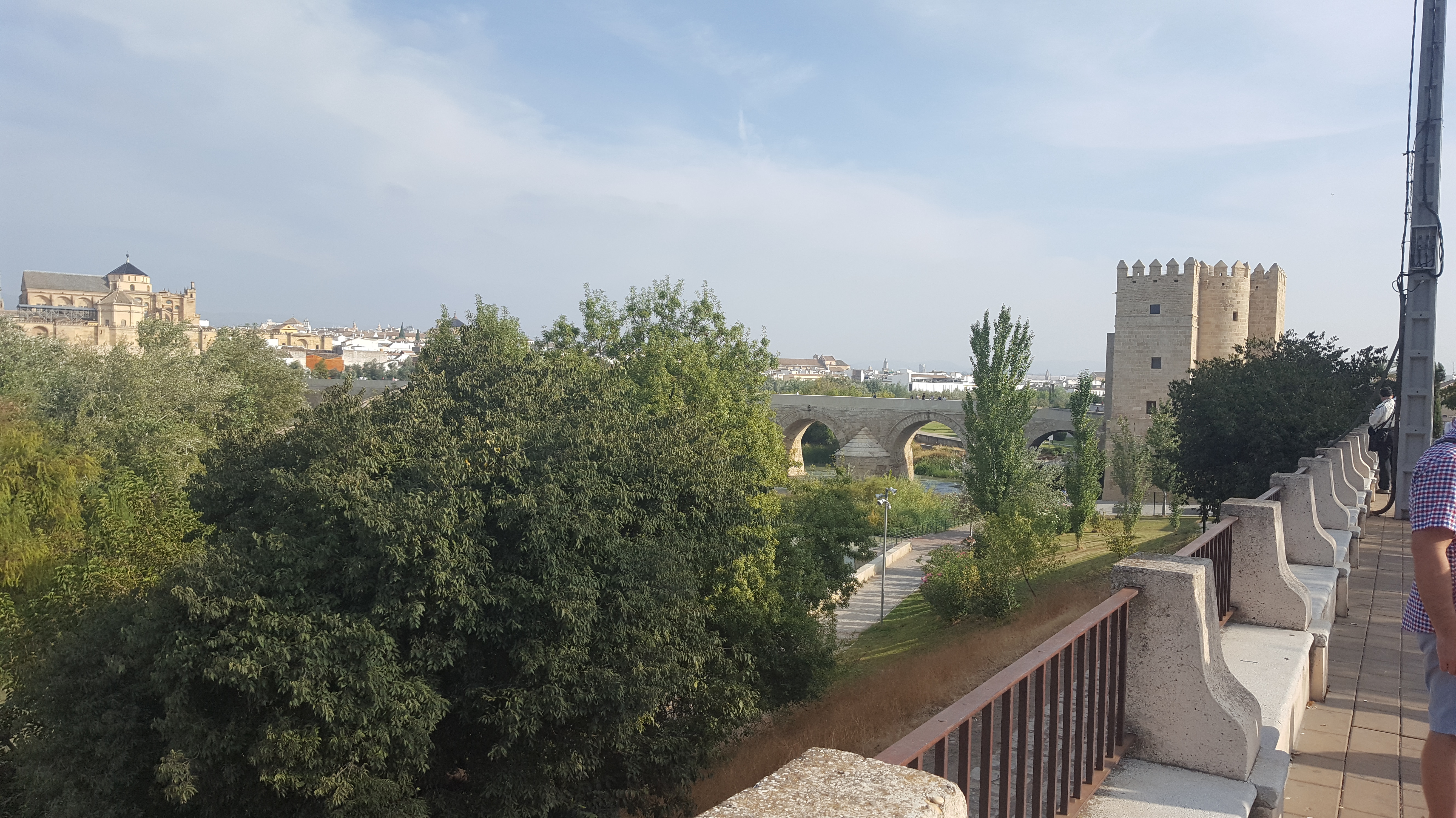 La plus grande Mosquée