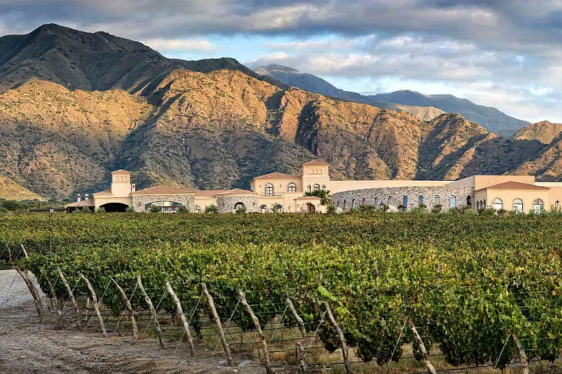 Piattelli Vineyard is an ideal place to relax and enjoy the wines and the view of the mountain in the background