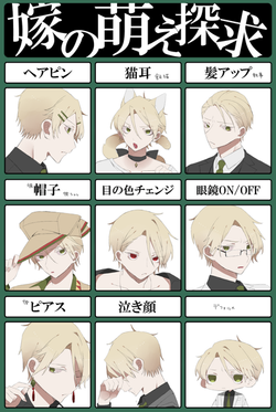 嫁の萌え探究