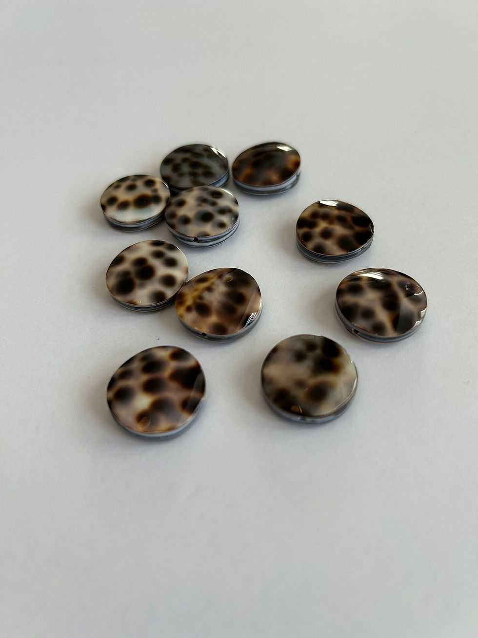 Thumbnail: Round Cowrie Shell Beads 20mm, 10 pcs
