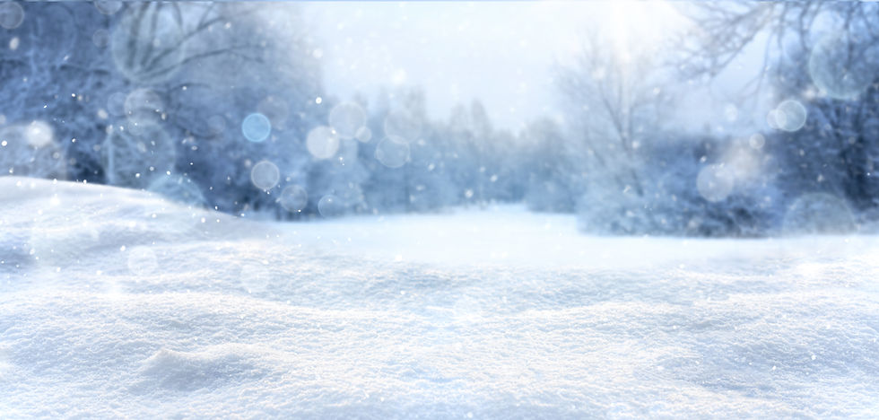 winter.jpg