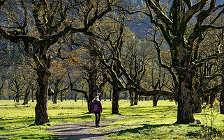 hike-8336525_1280.jpg