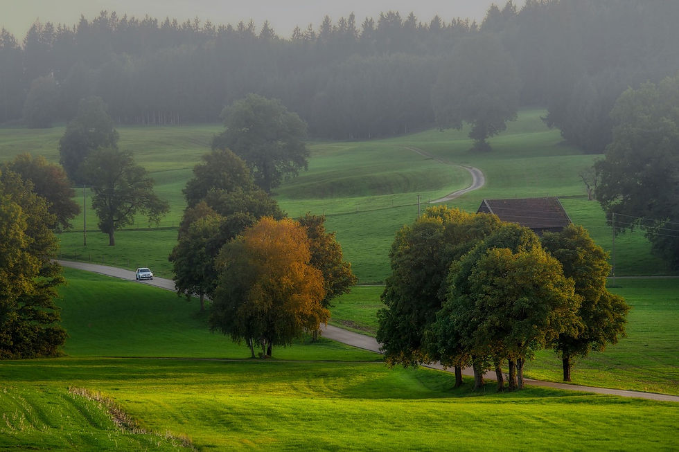 nature-6620939_1280.jpg