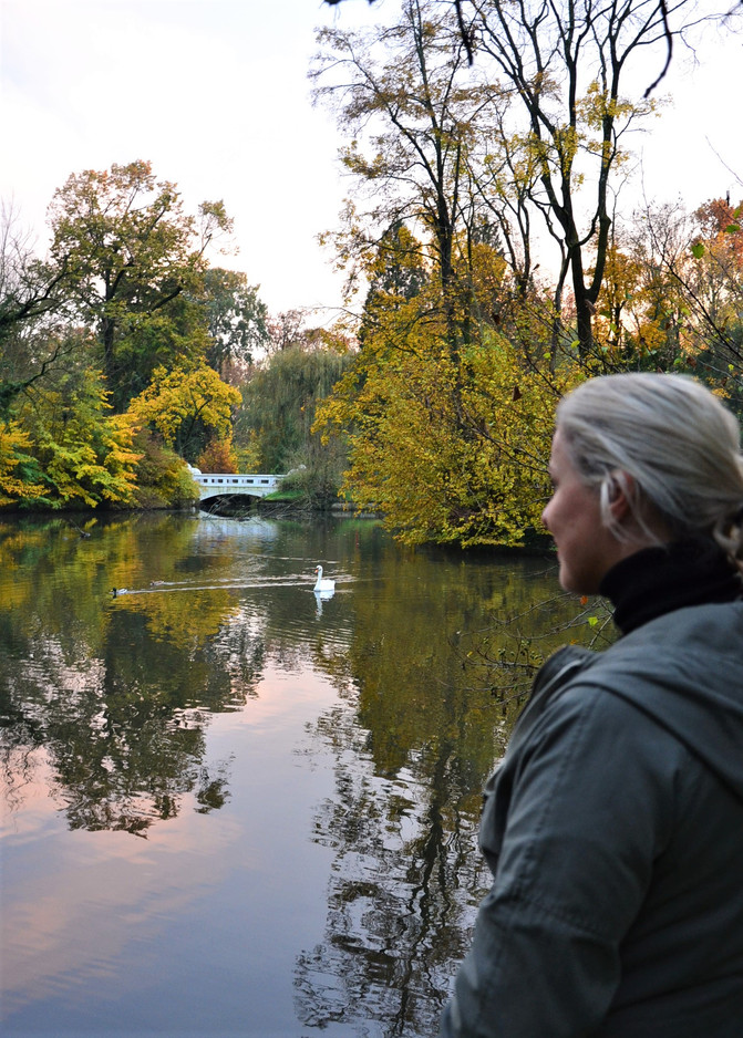 My day in Maksimir