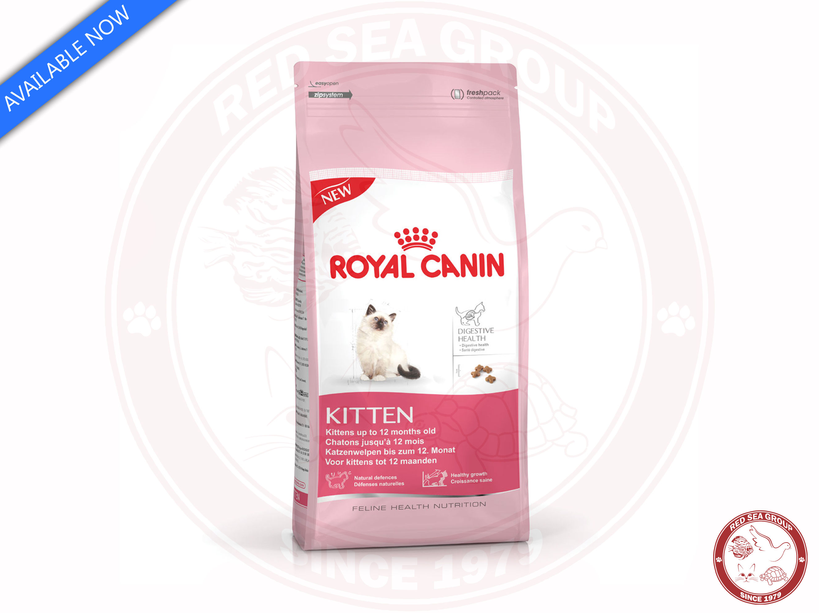 Royal Canin Kitten 2kg
