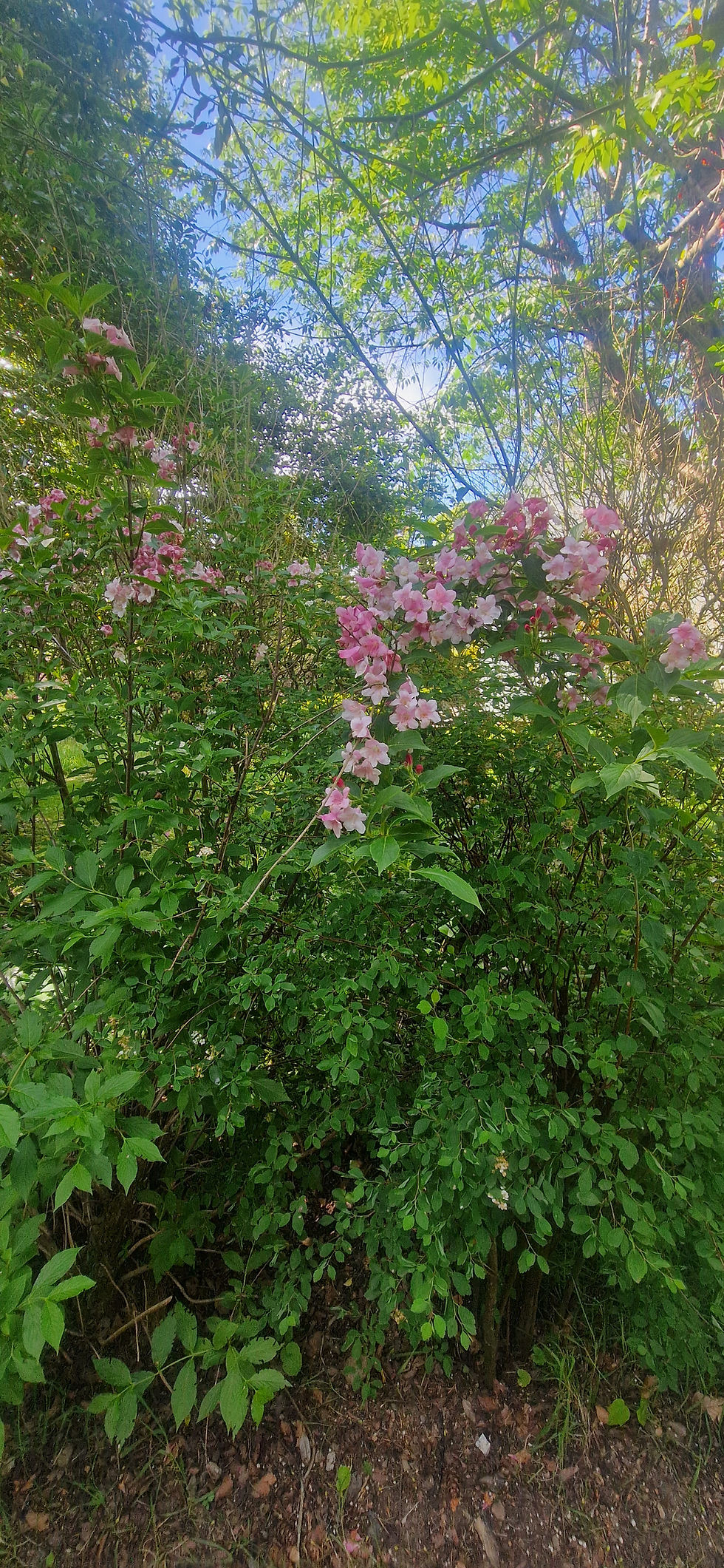 20260609_121102.jpg