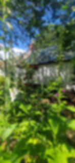 20260609_121113.jpg