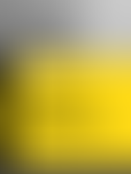 The Canonization by John Donne