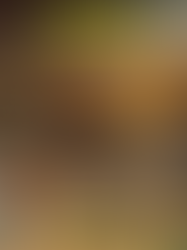 The Impediment to Truth by Kirk Barbera