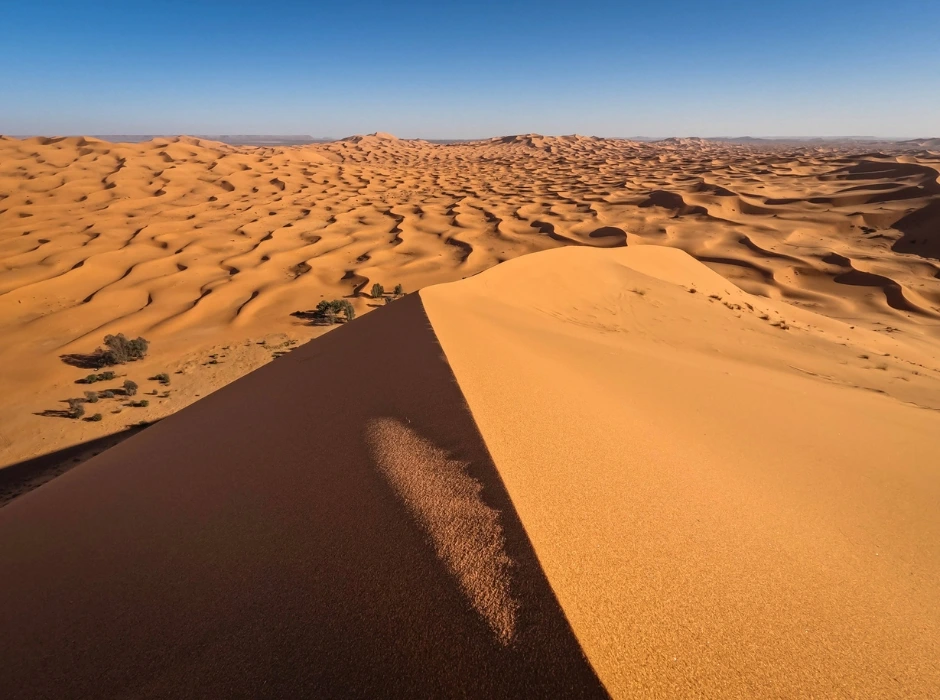 tallest dune in Erg Chebbi merzouga morocco