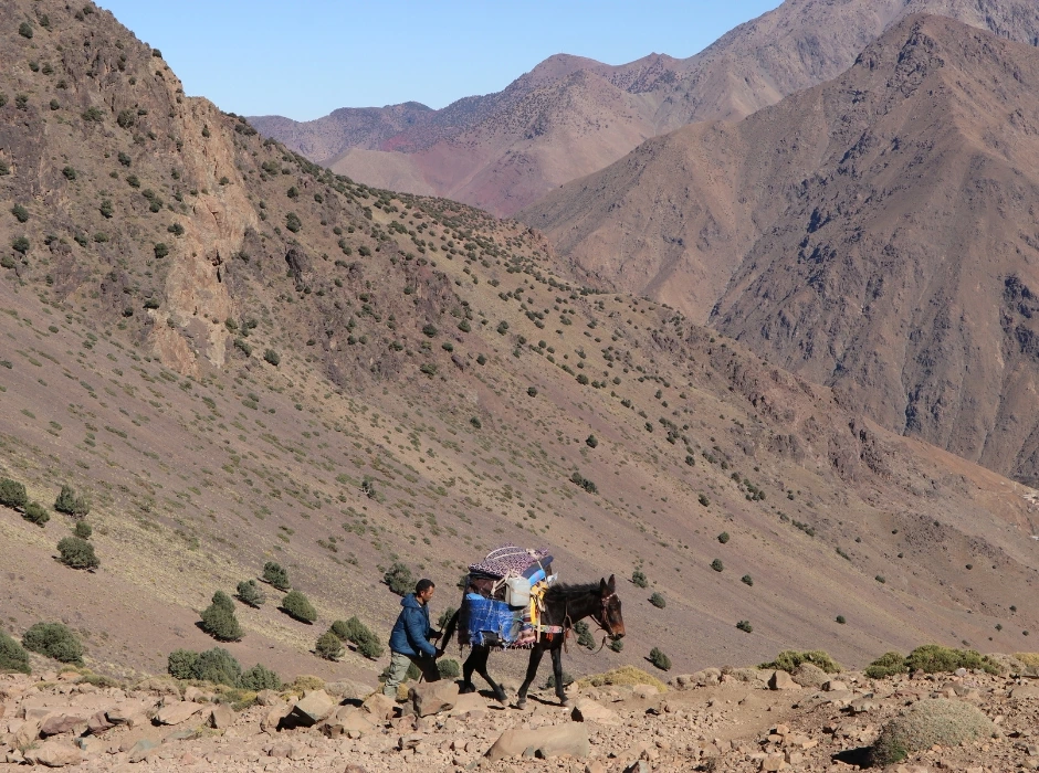 high atlas mountains morocco things to do