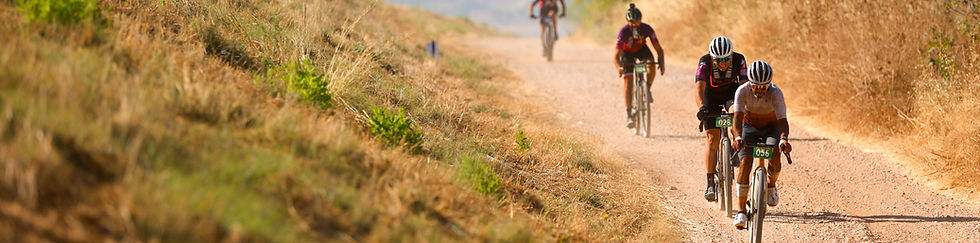 TFeder-osgg26-2430.jpg_banner.jpg