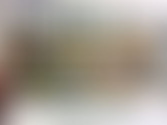 Volkskrant opinie - 'Stop het rechts-nationalistische monsterverbond door realiteitszin te tonen'