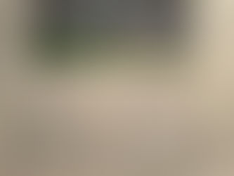 Minder polarisatie: lessen uit Duitsland (NRC, essay)