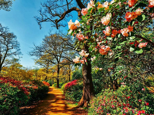 Top 5 Tranquil Spots😌 in the South🇬🇧