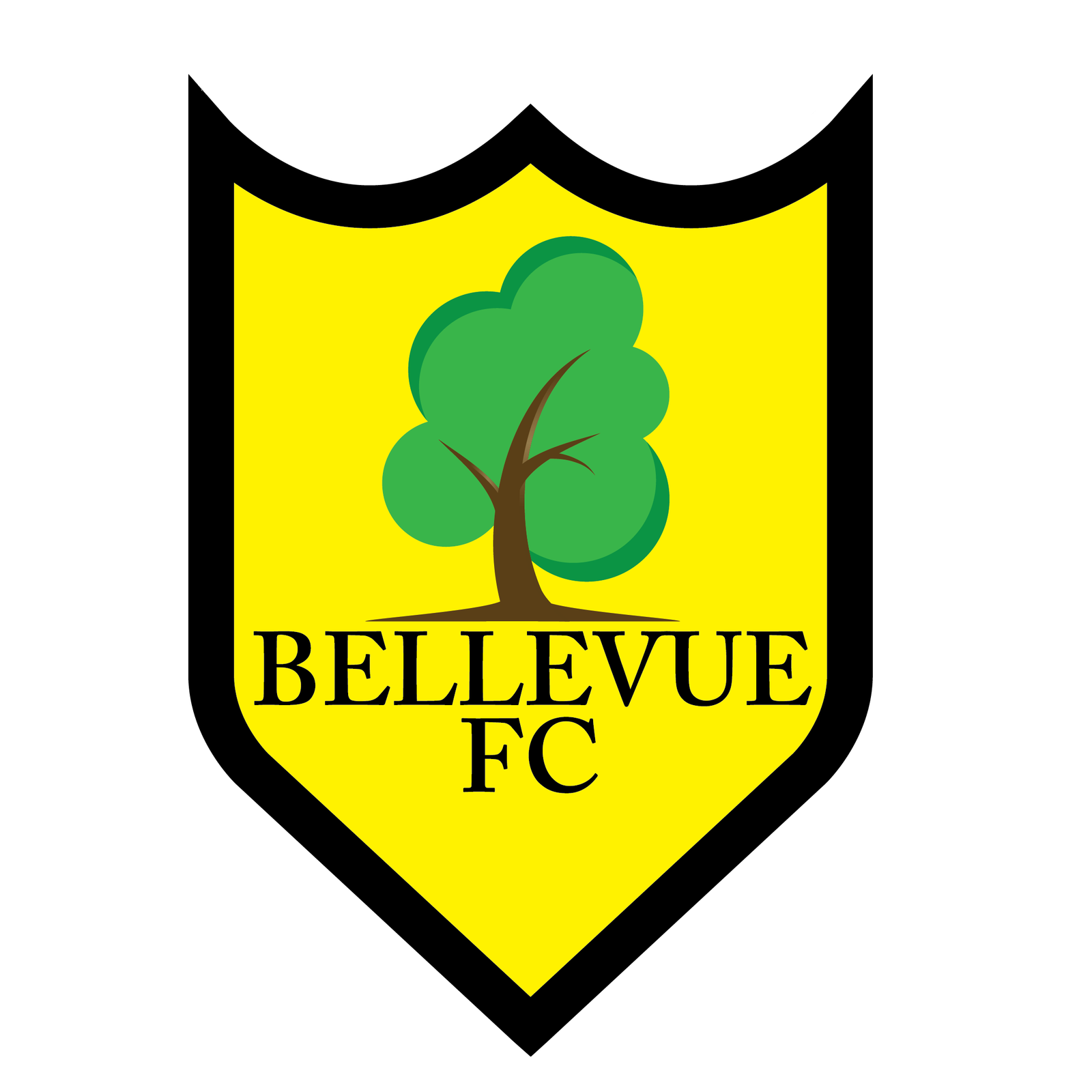 Bellevue Football Club