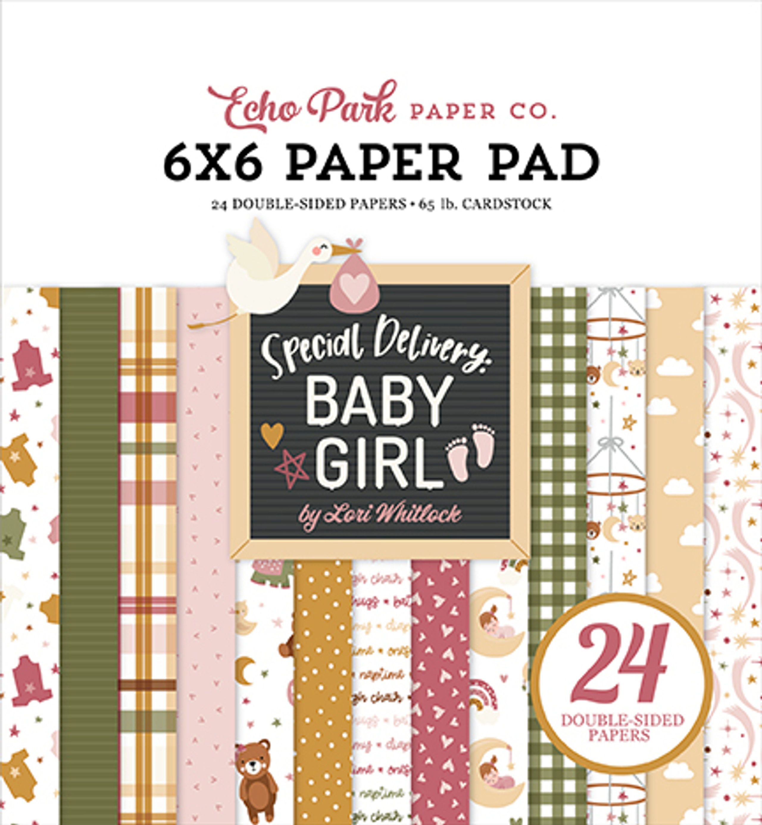 6"x6" Special Delivery Baby Girl Pad