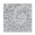 Thumbnail: Leaves in the Wind Bold Prints Cling Rubber Stamp