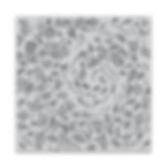Leaves in the Wind Bold Prints Cling Rubber Stamp