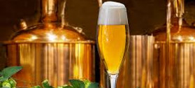 brewing ezymes-Biovencer