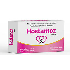 Hostamoz Tablets mockup.jpg