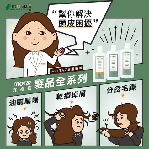 IP Character Projects 角色設計