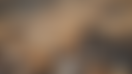 Transforming Oyster Shells into Soil Remediation Solutions