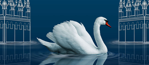 Le Lac des Cygnes