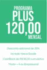 PLUS (4).png