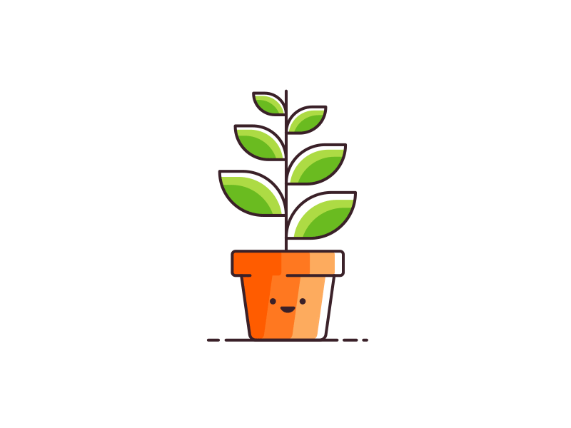 plant