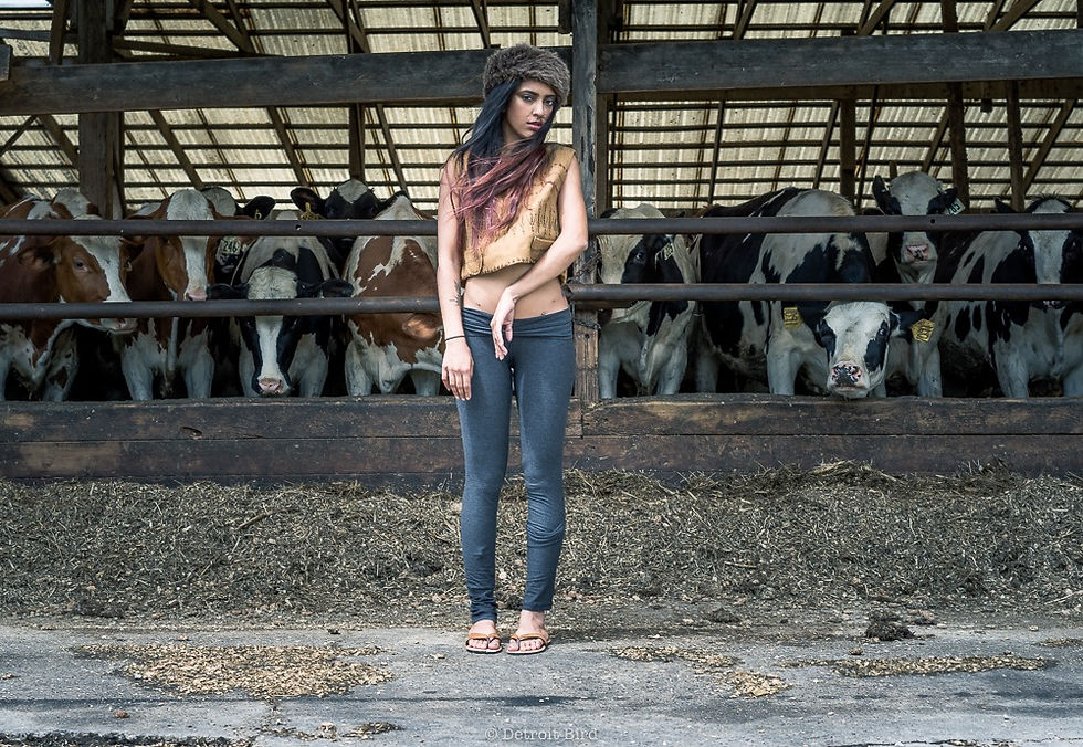 Animal House Editorial