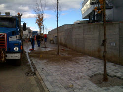 Murpf_AG_HägendorfFoto5