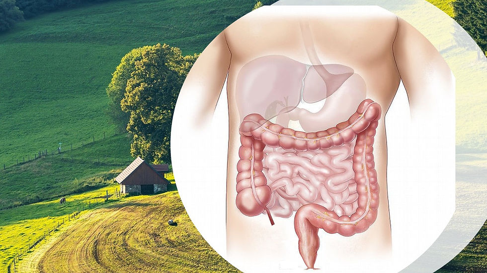 Leiden Sie unter Sodbrennen?
