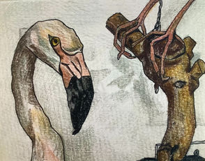 A bird's head next to another bird's feet on a branch.