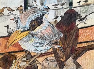 A blue bird next to a brown bird, in front of a display case of birds.