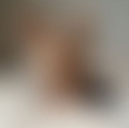 Reviews of Texas Tiny Yorkies: Reviews and Insights