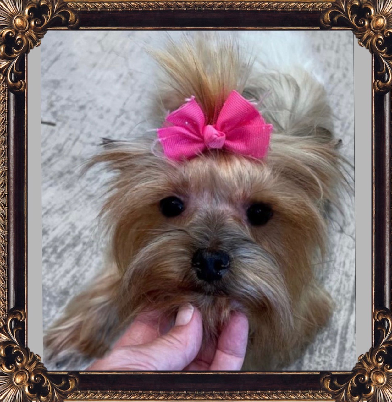 8 Foods That Lower Testosterone Levels