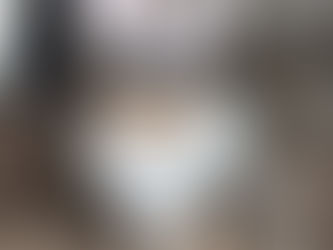 Top Tips for Training Your Teacup Yorkie: From Housebreaking to Advanced Commands