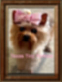 pretty girl.jpg