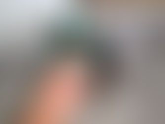 How to Choose the Best Food for Your Teacup Yorkie: Nutritional Tips for Texas Owners